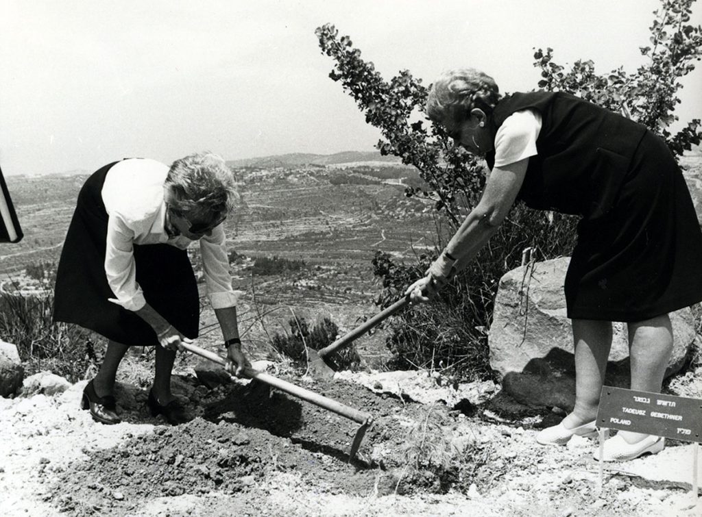 Uroczystość sadzenia drzewa oliwnego ku czci Tadeusza Gebethnera w Ogrodzie Sprawiedliwych w Instytucie Yad Vashem, 25 kwietnia 1983 r. Źródło: zbiory Yad Vashem (M.31.2/2127)